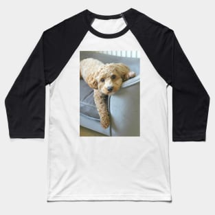 It's a Maltipoo Thing... Baseball T-Shirt